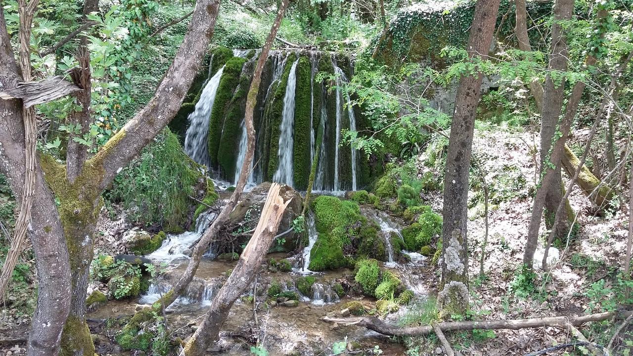 Kedros Chalet Agios Dimitrios  Kültér fotó