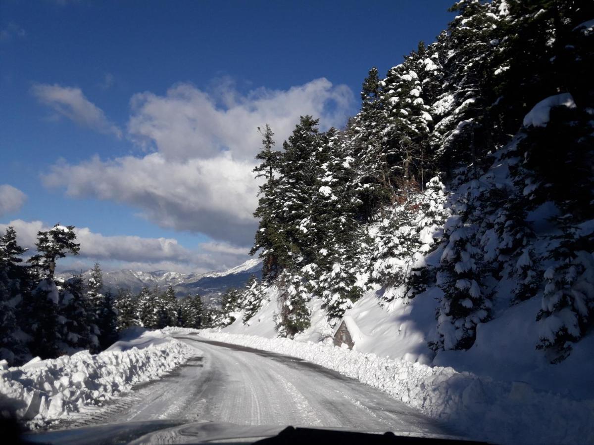 Kedros Chalet Agios Dimitrios  Kültér fotó