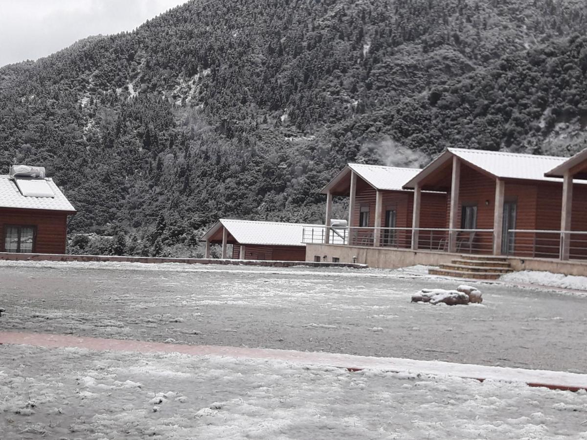 Kedros Chalet Agios Dimitrios  Kültér fotó