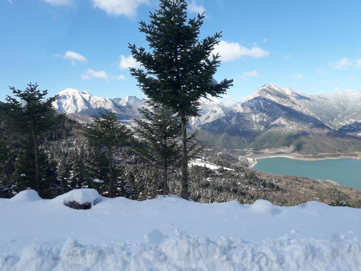 Kedros Chalet Agios Dimitrios  Kültér fotó