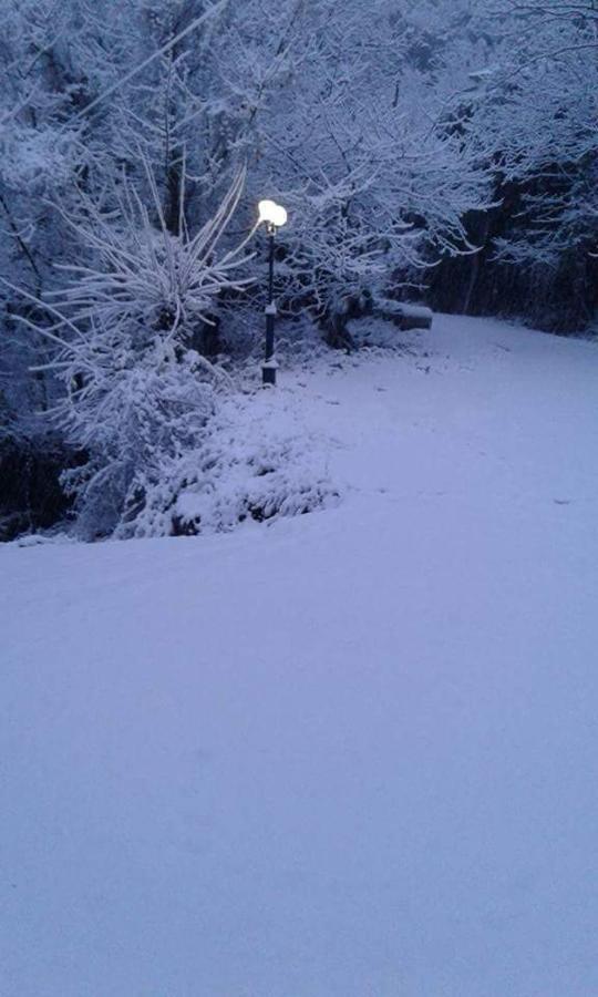 Kedros Chalet Agios Dimitrios  Kültér fotó